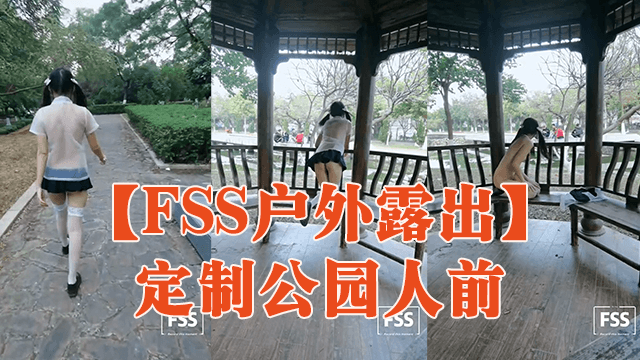 FSS户外露出定制公园人前